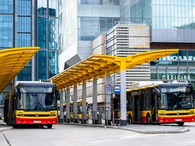 Miniatura: Za darmo autobusem i tramwajem? Coraz...