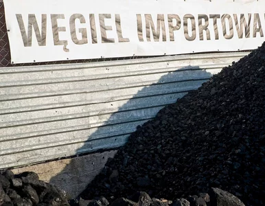 Miniatura: Takich cen węgla nie było od dawna. W...