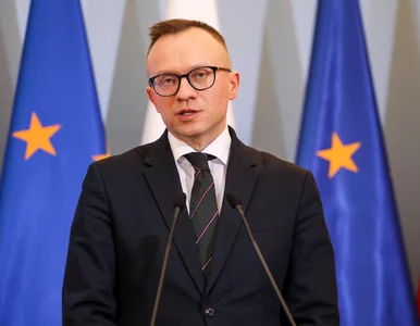 Miniatura: Wiceminister finansów: Chcemy prowadzić...