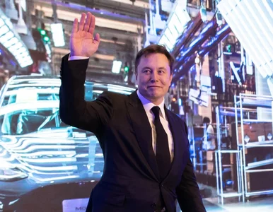 Miniatura: Elon Musk jednak przejmie Twittera? To...