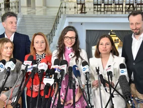 Miniatura: Posłanka KO chce odważnych zmian w 800...