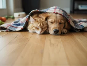 Miniatura: Te osoby mogą ubiegać się o 500 plus na...