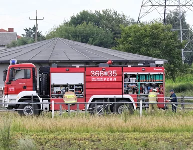 Miniatura: Wyciek z rurociągu „Przyjaźń”. Żaryn:...