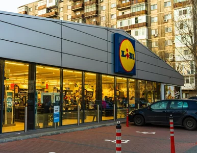 Miniatura: Lidl obniża ceny o wysokość podatku VAT....