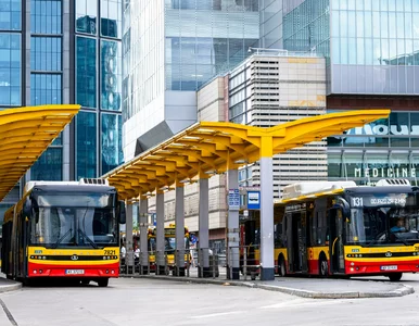 Miniatura: Za darmo autobusem i tramwajem? Coraz...