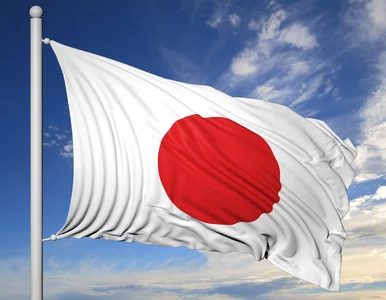 Miniatura: Wpływ japońskich inwestycji na rozwój...