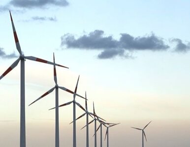 Zielone obligacje rozwiną energetykę odnawialną w Polsce?