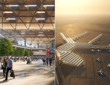 Miniatura: Kto wybuduje terminal Portu Polska? Nie...