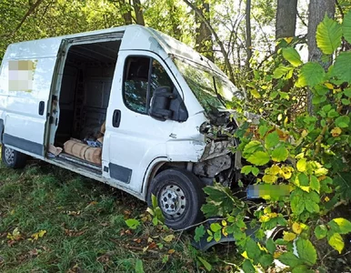 Miniatura: Holowanie busa skończyło się na drzewie....