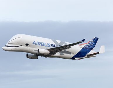 Airbus zakłada własną linię lotniczą. Najbrzydszy samolot świata będzie...