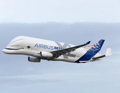 Miniatura: Airbus zakłada własną linię lotniczą....