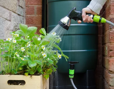 Miniatura: Nawet 8 tys. zł za zbieranie deszczówki....