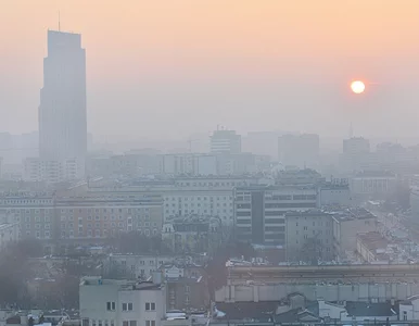 Miniatura: Polacy wciąż to robią. Kara to nawet 5...