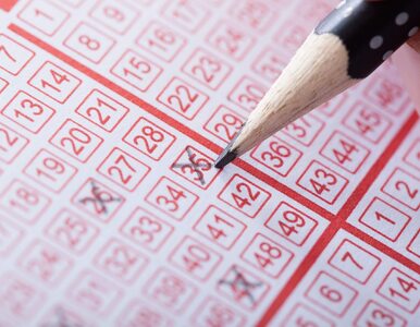 Miniatura: Jak wygrać w Lotto? Czy wygrana jest możliwa?