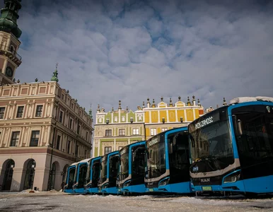 Miniatura: „Elektryczne lwy” na ulicach Zamościa....