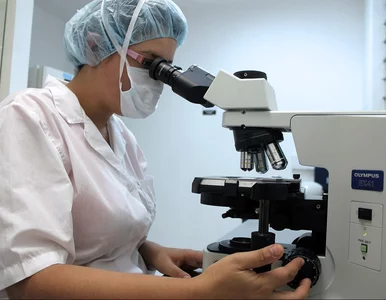 Miniatura: Naukowcy wykorzystują nanotechnologię do...