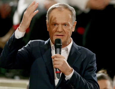 Miniatura: Donald Tusk zapłacił 34 złote za pomidory....