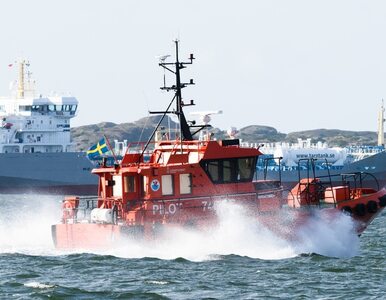 Miniatura: Katastrofa frachtowców na Morzu Bałtyckim....