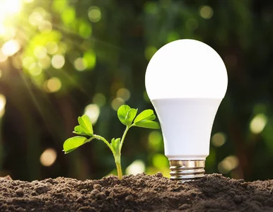 Miniatura: Technologia LED – dlaczego nie ma sobie...