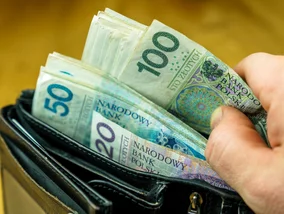 Miniatura: Polacy znaleźli alternatywę dla lokat....