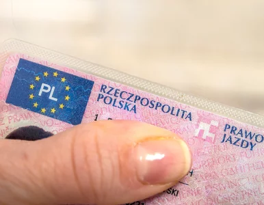 Miniatura: Zakaz prowadzenia auta a wypożyczalnie....