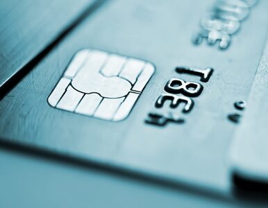 Kartami kredytowymi chętniej płacimy za elektronikę, gry, platformy VOD...