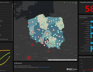 Miniatura: Powstała krajowa mapa koronawirusa. Tak w...