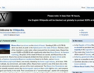 Miniatura: Angielskojęzyczna Wikipedia nie będzie...