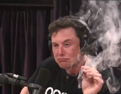 Miniatura: Elon Musk nagrał swój pierwszy rap...