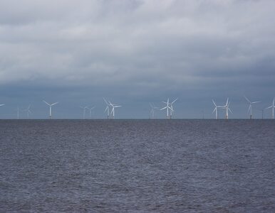 Miniatura: Energia z morskiej farmy nawet dla miliona...
