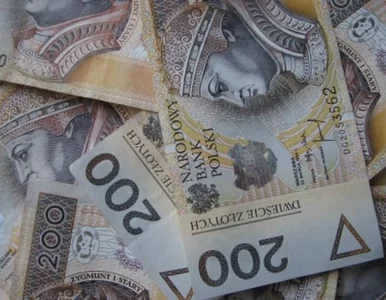 Miniatura: Czarne chmury nad polską gospodarką. S&P...