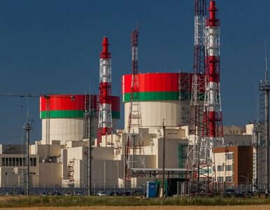 Kolejna awaria elektrowni jądrowej w Ostrowcu? „Zadziałał system ochrony”