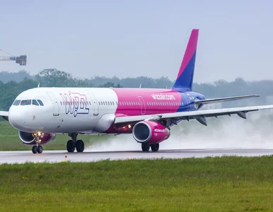 Miniatura: Siedział już w samolocie Wizz Air, kiedy...