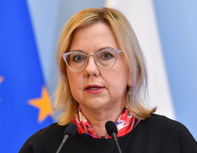 Anna Moskwa po szczycie UE: Wspólne zakupy gazu nie będą obowiązkowe