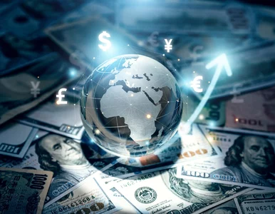 Miniatura: Kursy walut 3 listopada 2025. Po ile...