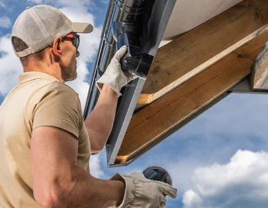 Miniatura: Masz wielką, zabetonowaną posesję?...