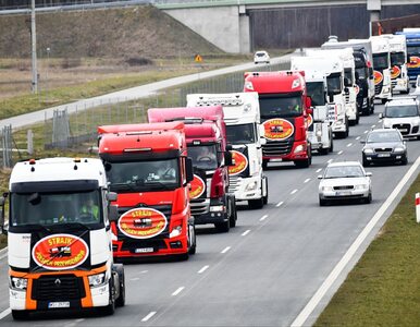 Miniatura: Chcą zakazu wjazdu rosyjskich ciężarówek....