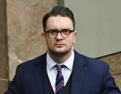 Miniatura: Wzory oświadczeń majątkowych polityków do...