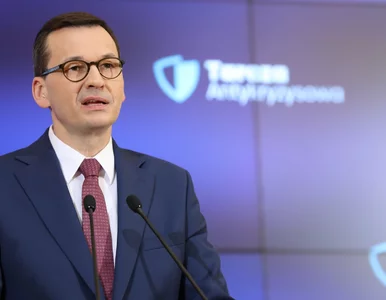 Miniatura: Morawiecki: Za miesiąc polskie firmy będą...