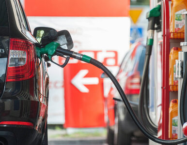 Rząd ma zareagować na ceny paliw. Nieoficjalne przecieki ws. „tarczy...