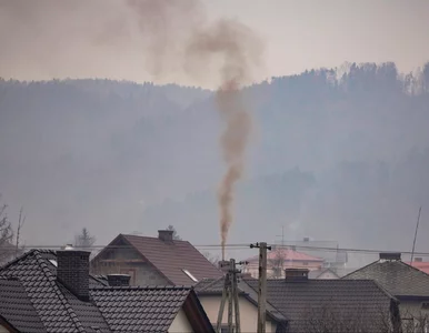 Miniatura: Rewolucja w rządowym programie. „Obawiam...