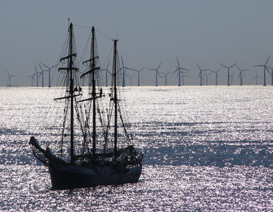 Miniatura: Morska energetyka wiatrowa impulsem dla...