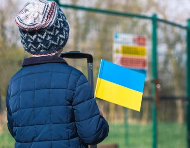 Miniatura: 800 plus dla Ukraińców. Taka jest skala...