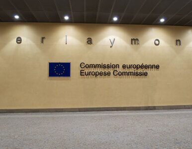 Komisja Europejska przyjęła budżet na 2013 r.