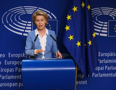 Miniatura: Unia Europejska będzie wspólnie kupować...