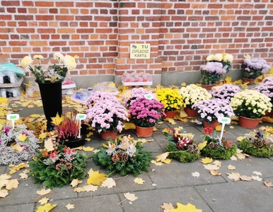 Miniatura: Sklepy otwarte 1 listopada - lista. Gdzie...