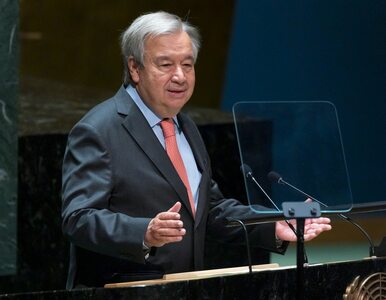 Miniatura: Sekretarz generalny ONZ uderza w firmy...