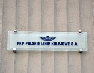 Dalsze rezygnacje w polskich kolejach. Prezes PKP PLK podał się do dymisji