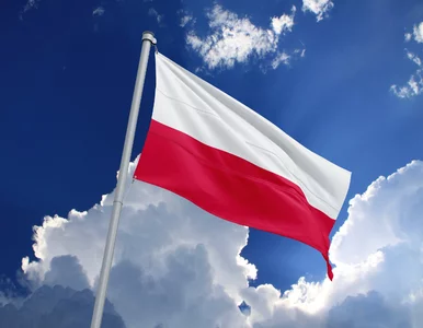 Miniatura: Wydało się. Polska wcale nie wydaje na...