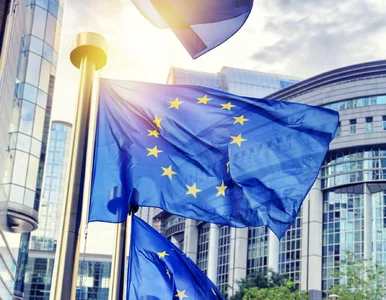 Miniatura: Europa właśnie zderza się ze ścianą....